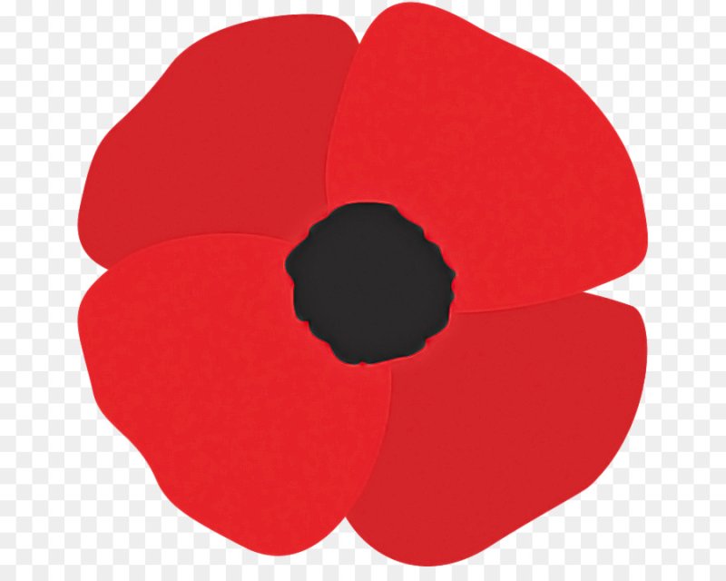 Цветы трафареты цветные