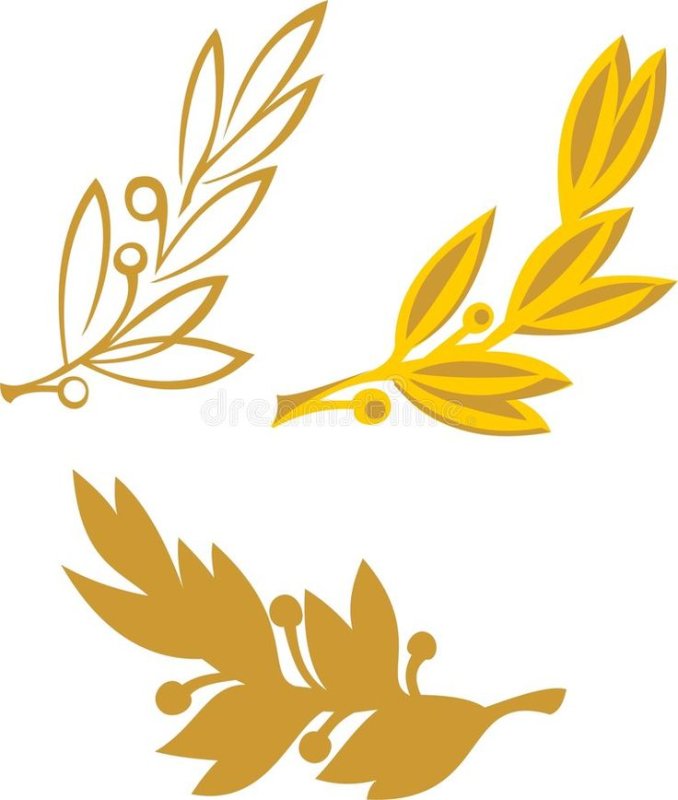 Лавровая веточка на прозрачном фоне