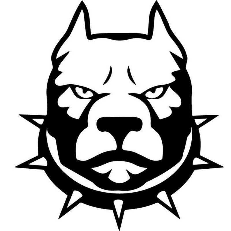 Эскиз питбуля для тату