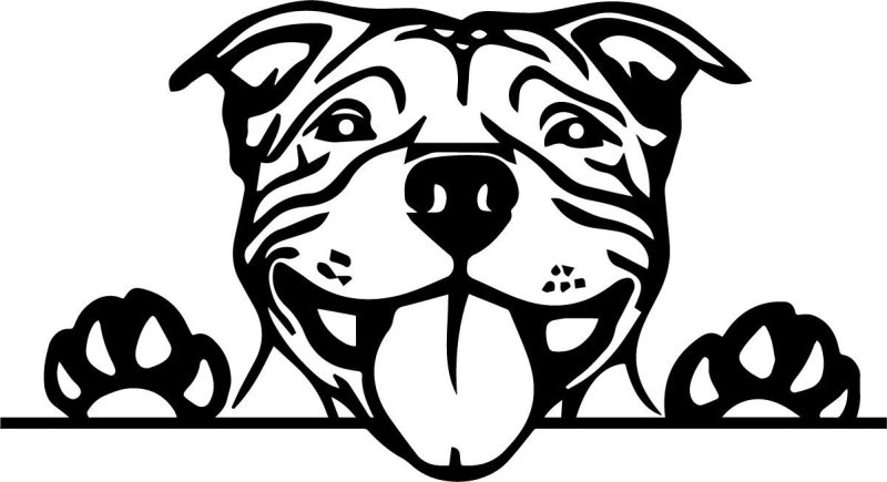 Американский булли вектор