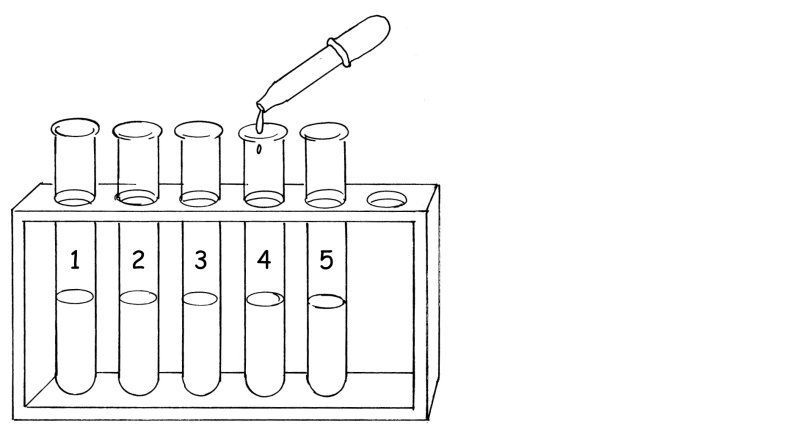 Штатив для пробирок рисунок химия