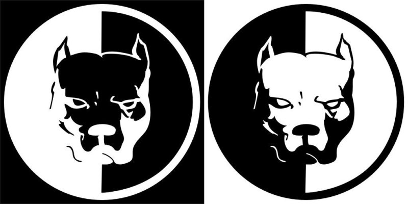 Питбуль Эрика Давидыча