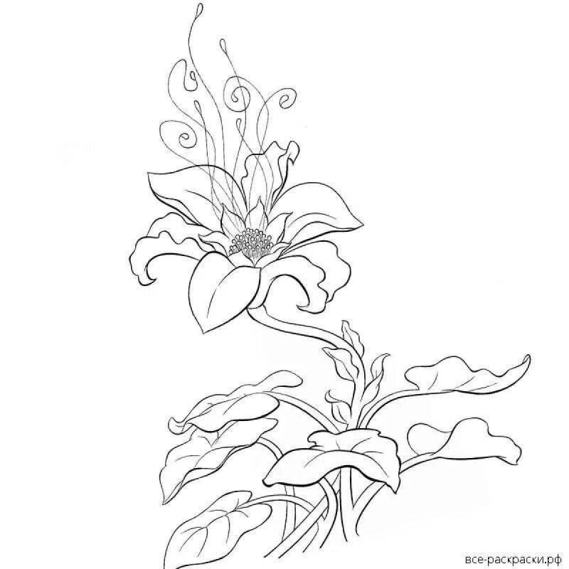 Сказочный цветок рисунок