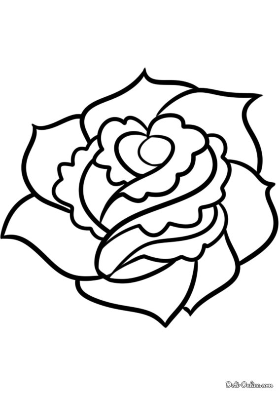 Цветок роза раскраска для детей