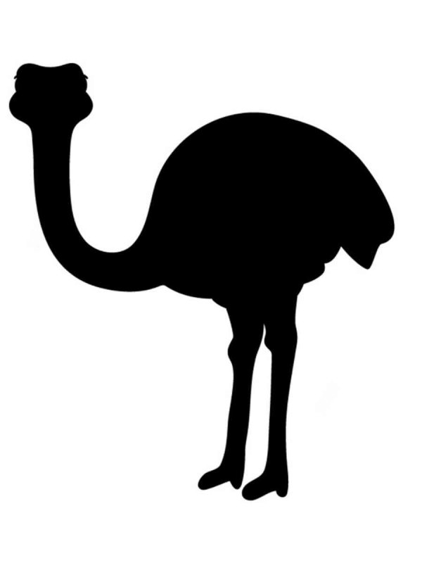 Страус символ