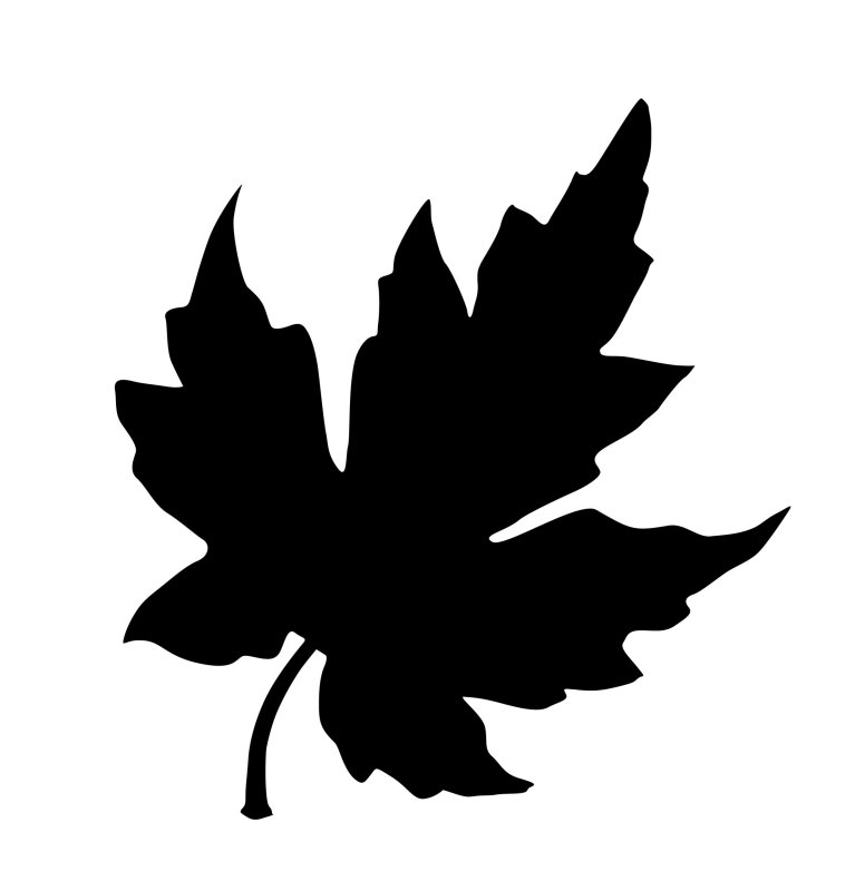 Листья силуэт