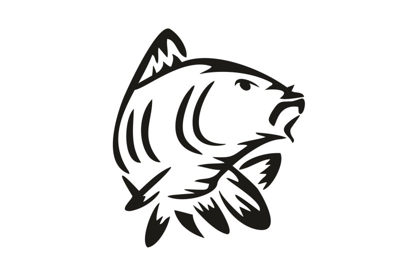 Наклейка Карп