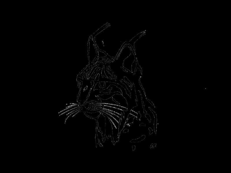 Рысь стилизация