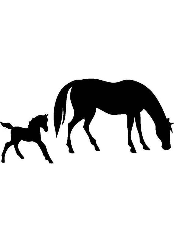 Лошадь контур