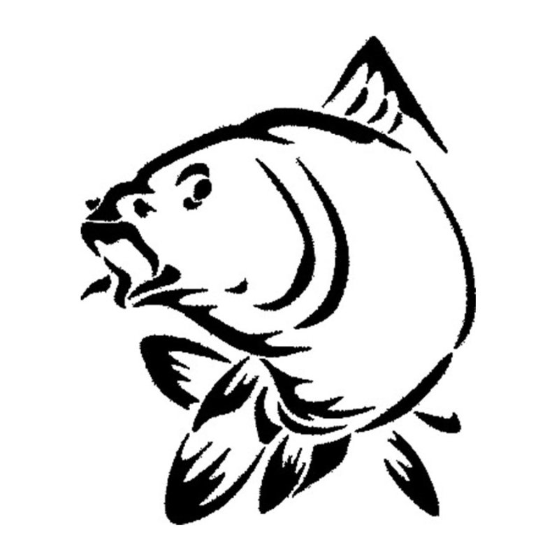 Наклейка карпфишинг на авто