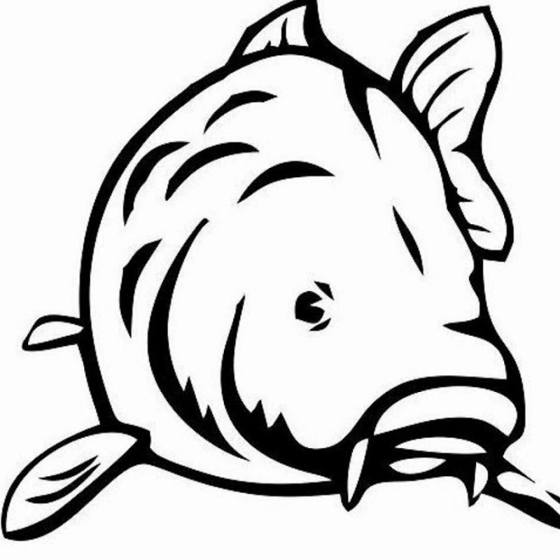 Карп нарисованный