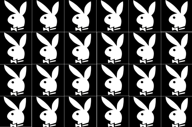 Кролик плейбой