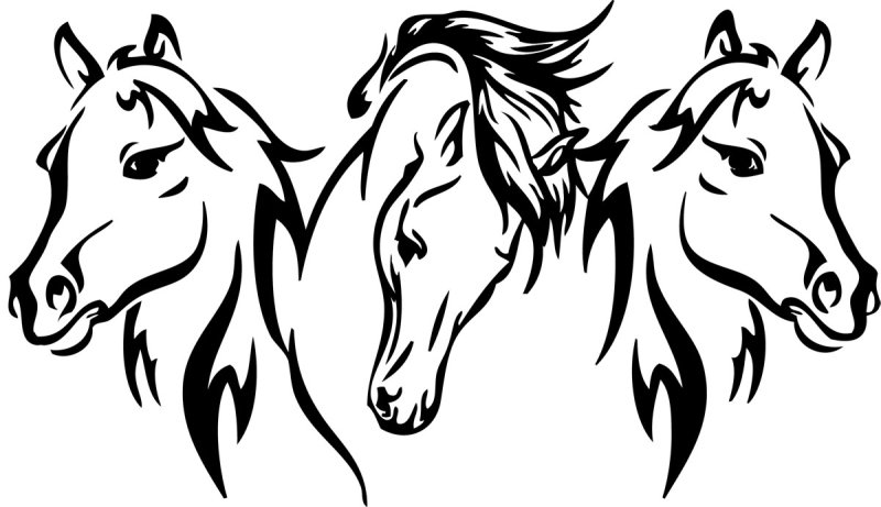 Векторное изображение лошади