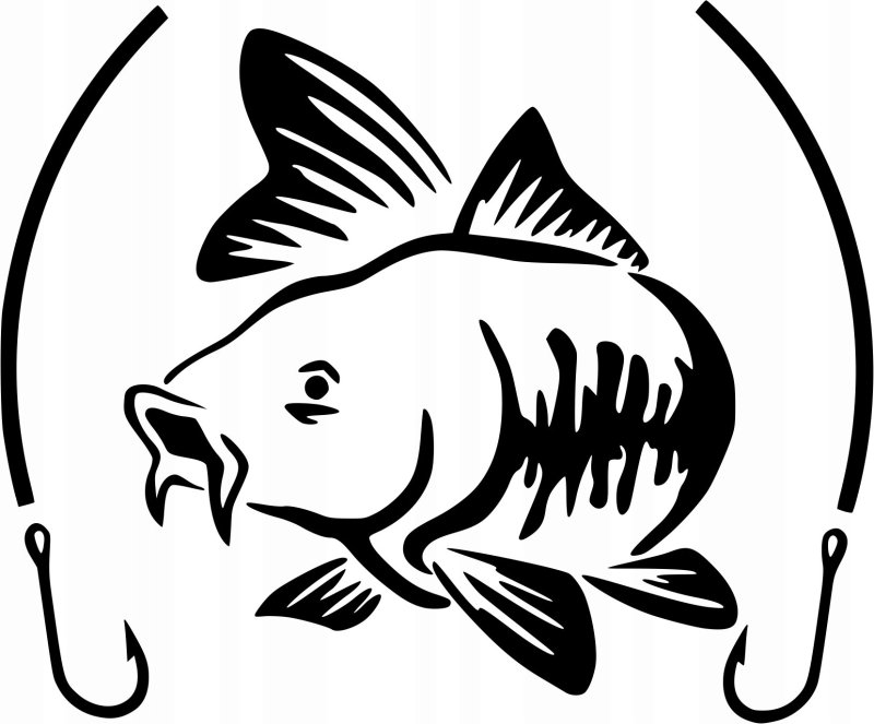 Рыба Карп в векторе