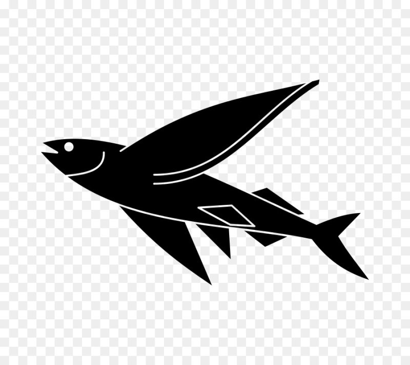 Силуэт летучей рыбы