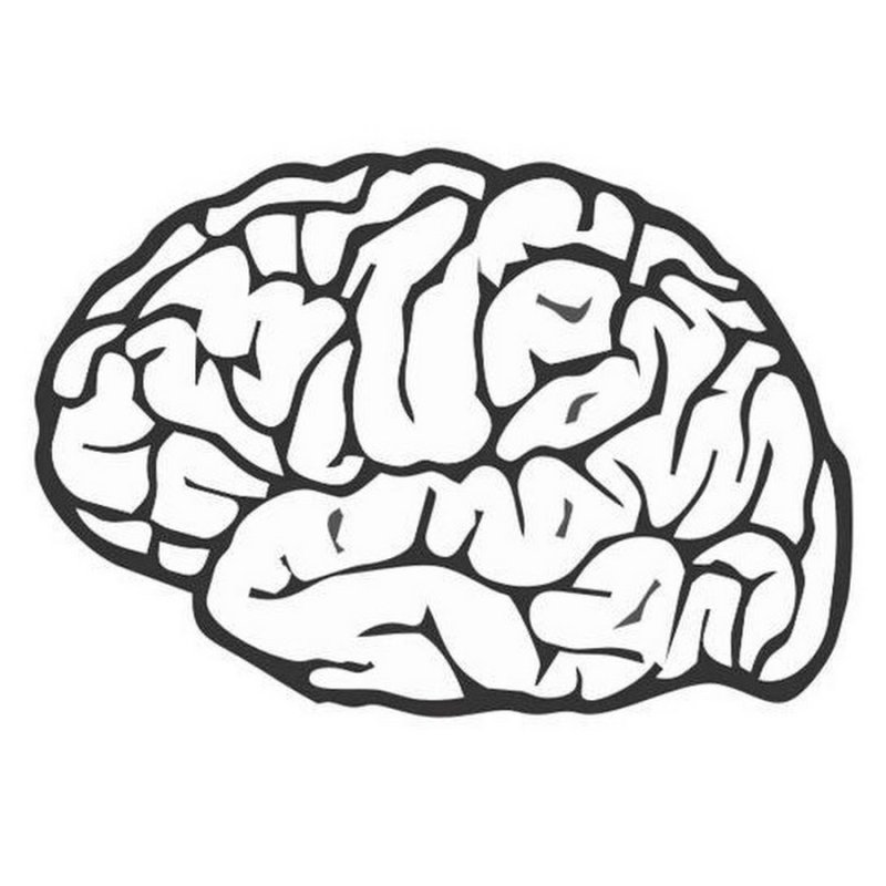 Мозг нарисованный