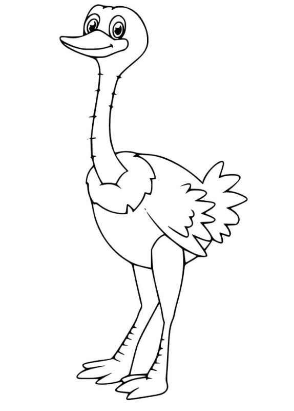 Эму раскраска для детей