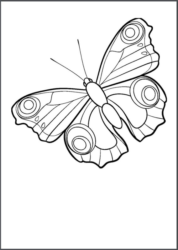 Бабочка павлиний глаз разукрашка