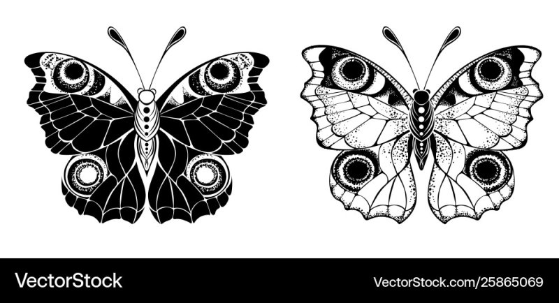 Бабочка павлиний глаз раскраска
