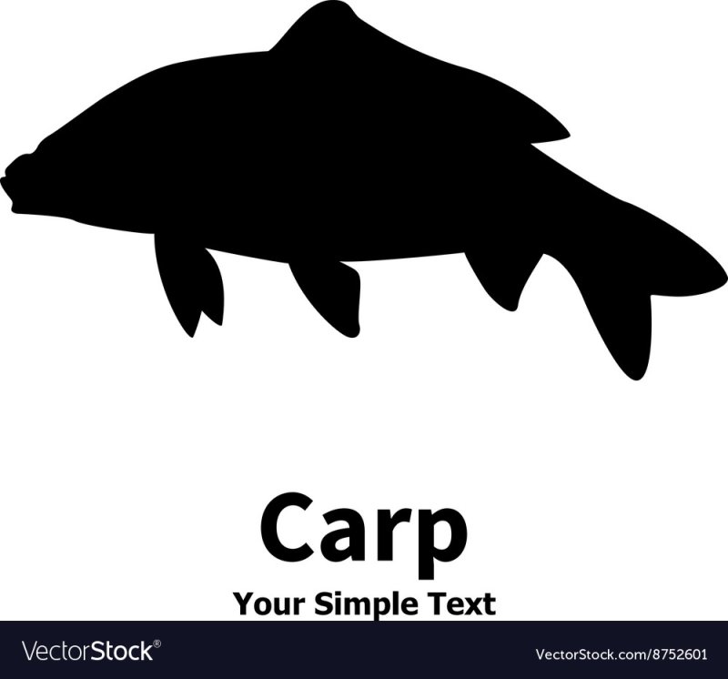 Карп трафарет