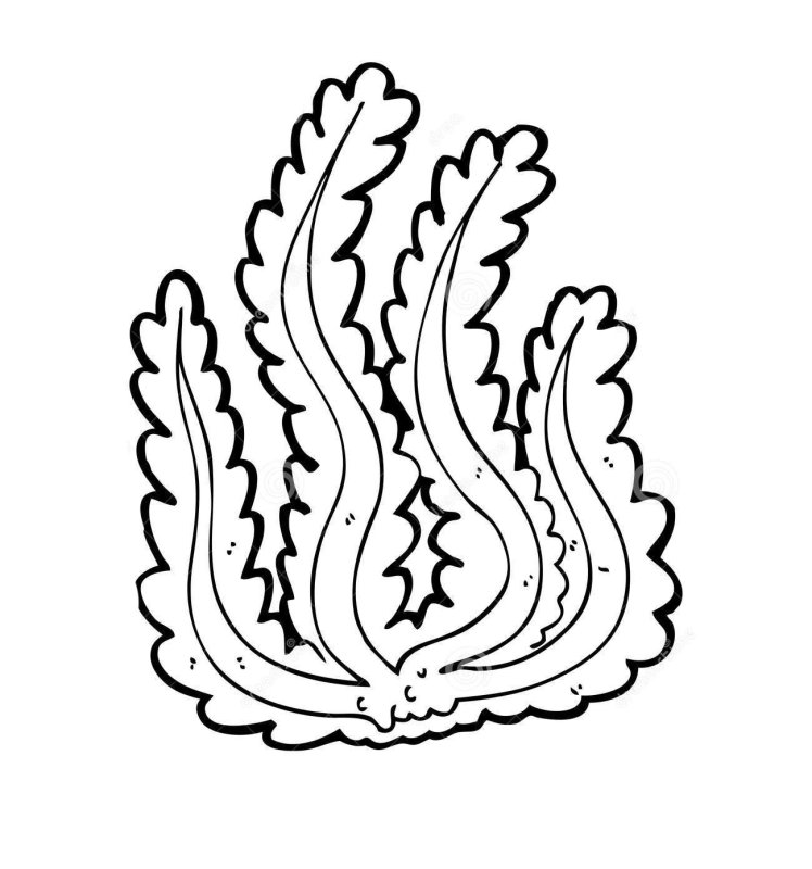 Трафарет морские водоросли