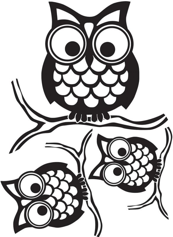 Трафареты Совы для декора