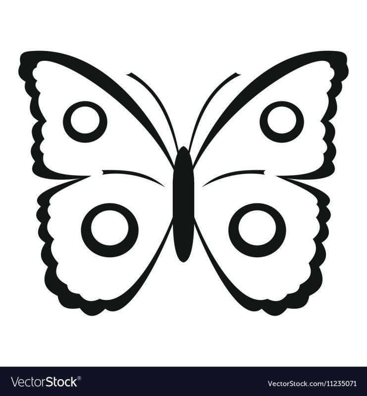 Бабочка павлиний глаз раскраска