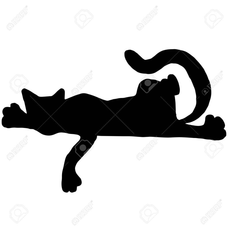 Кошка лежит силуэт