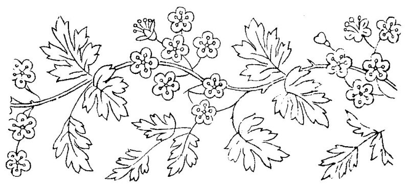 Растительный узор в полосе