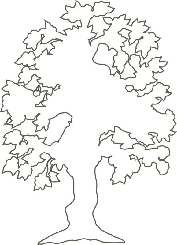 Дерево контур