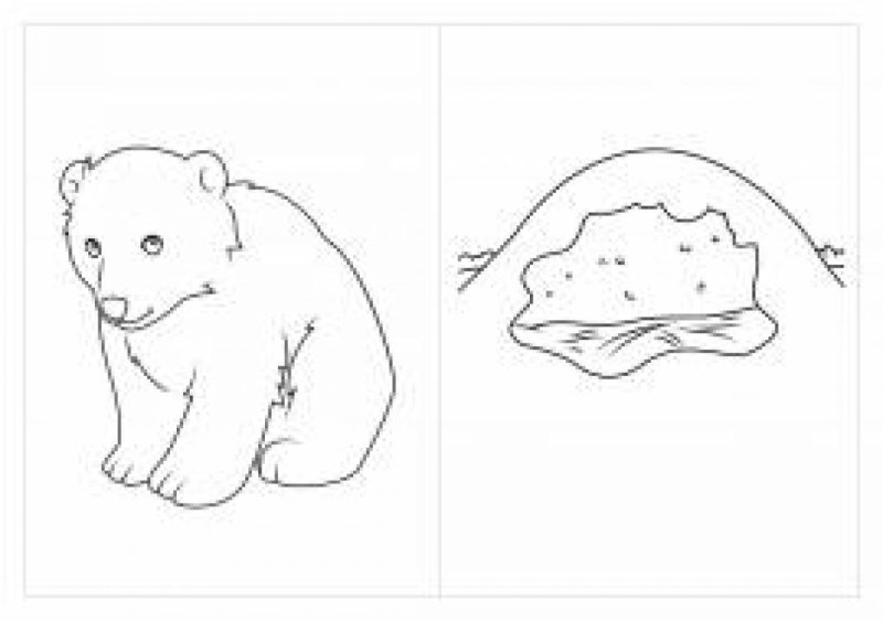 Берлога раскраска