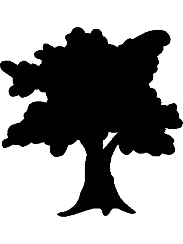 Очертание дерева