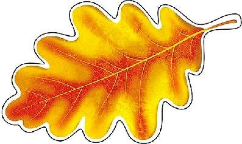 Листик желтый