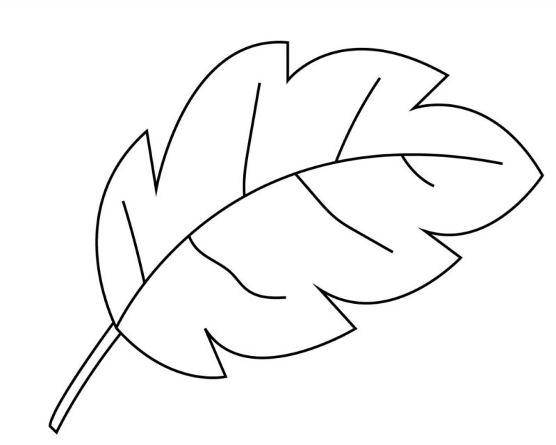 Листочки раскраска