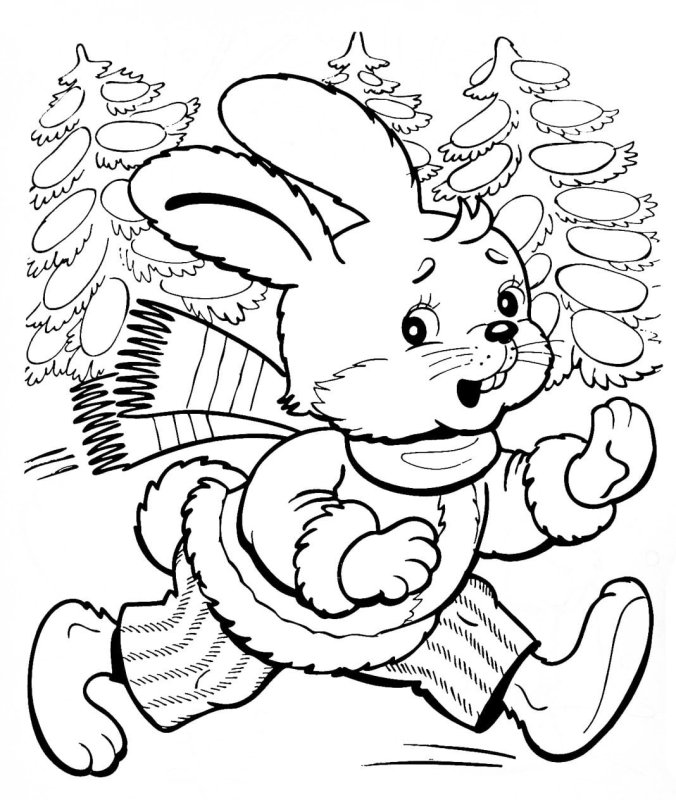 Заяц раскраска