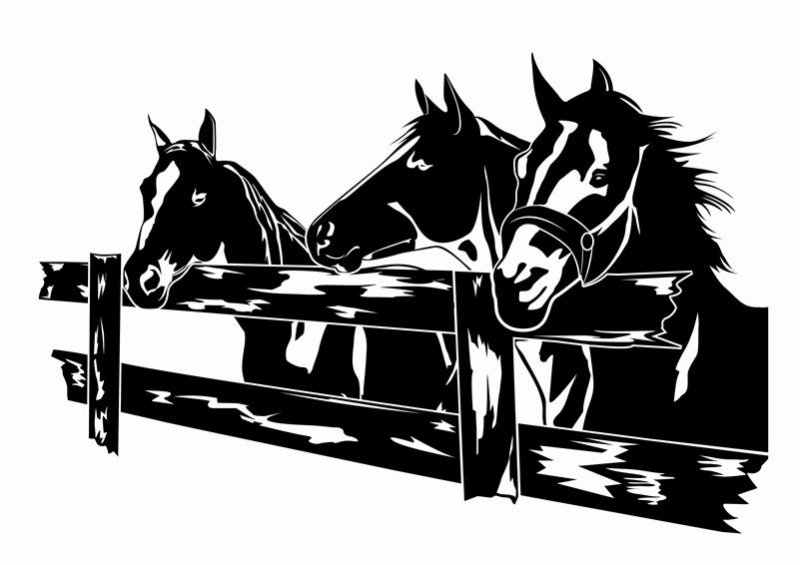 Кони в векторном изображении