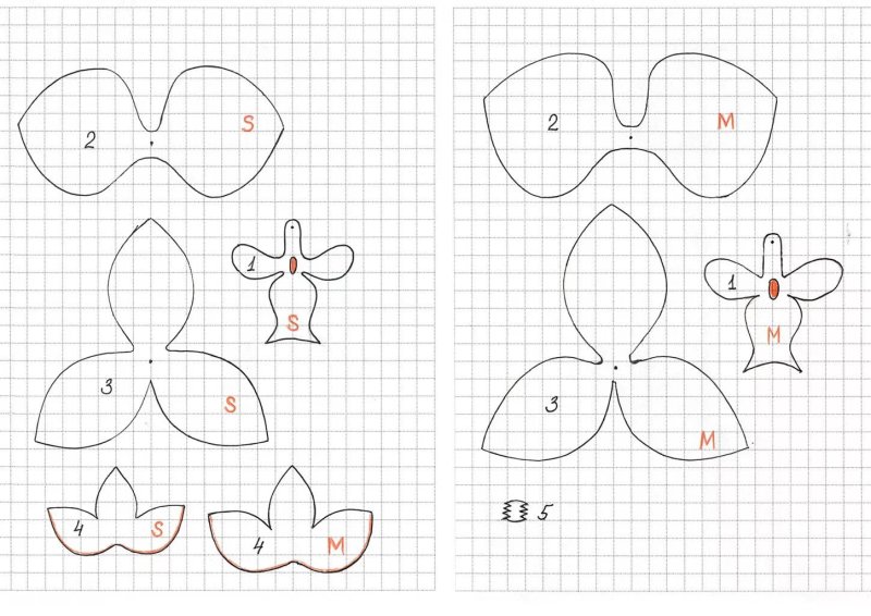 Орхидея шаблон для фоамирана