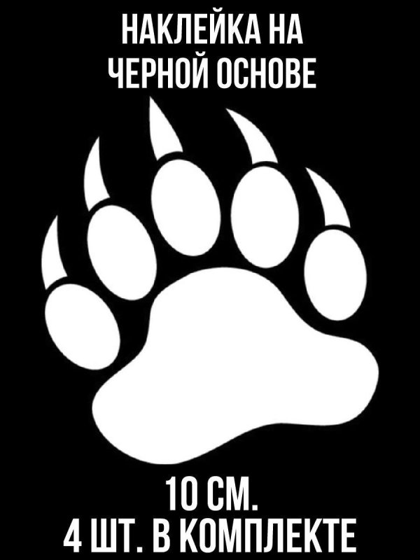 Следы медведя