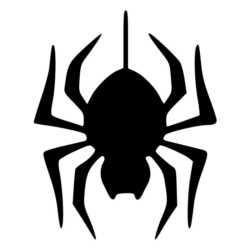 Паучок трафарет