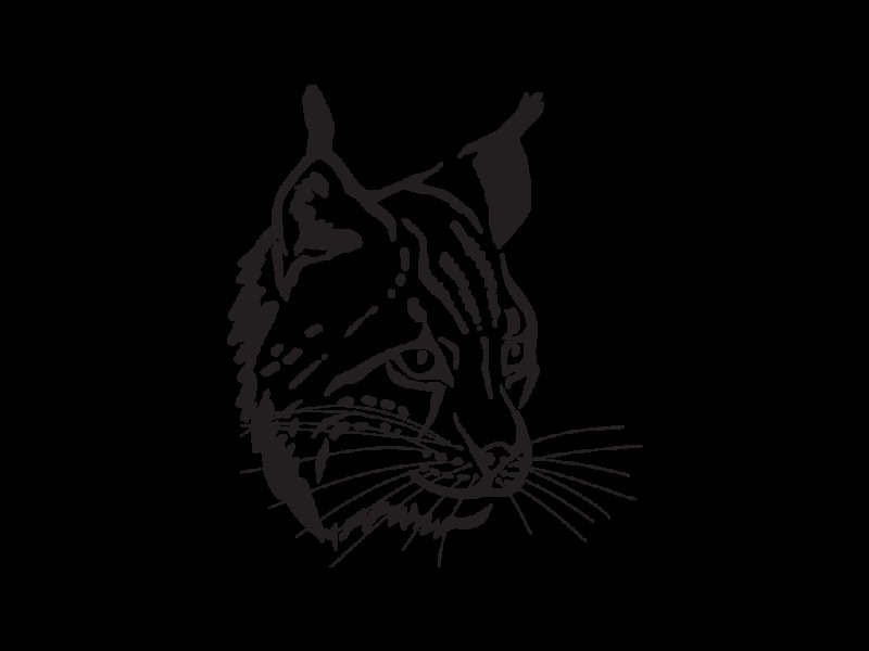 Рысь тату эскиз