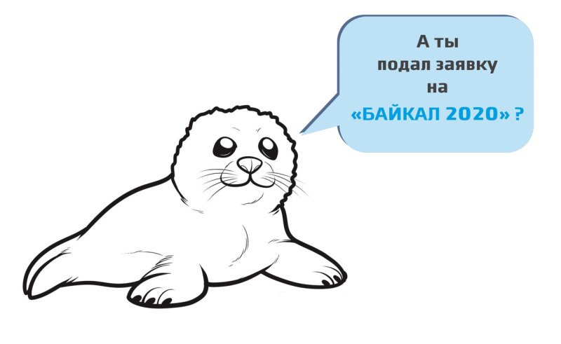 Байкальская Нерпа рисунок