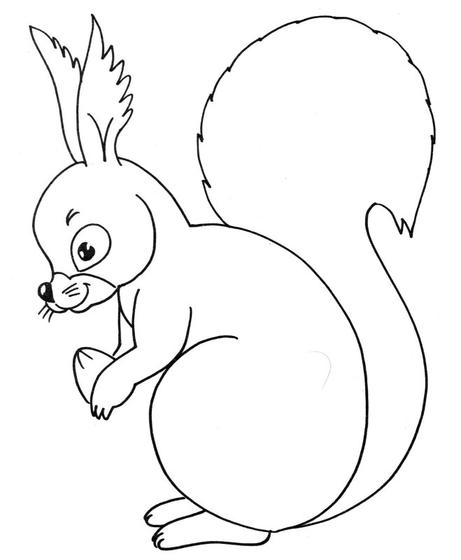 Белка раскраска