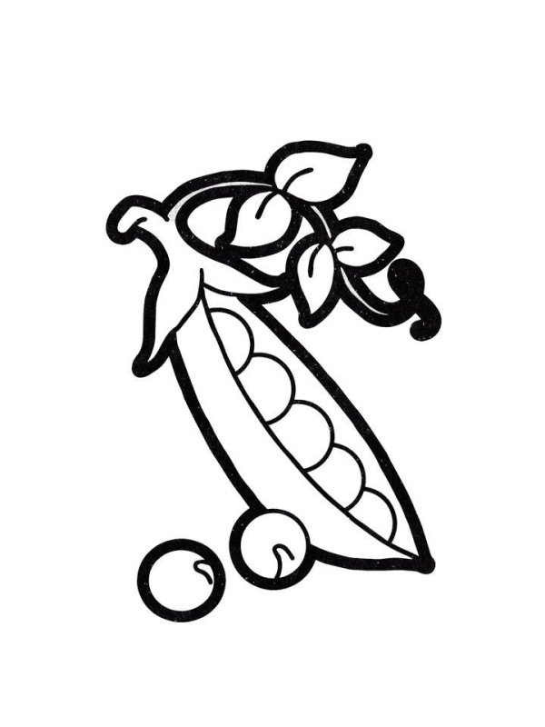 Горох картинка для детей раскраска