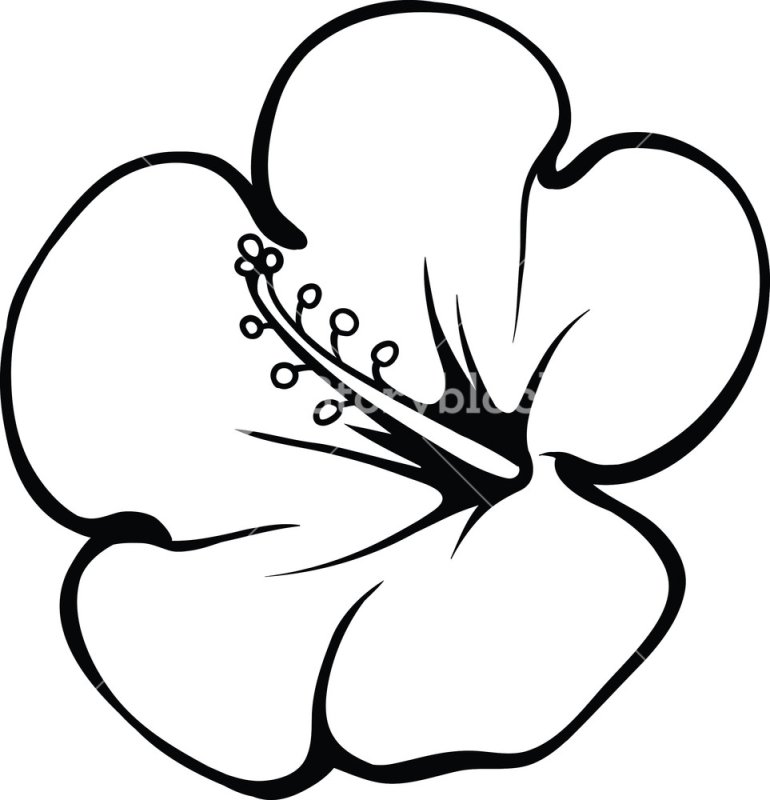 Тропические цветы контур