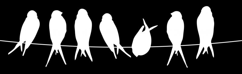 Птицы на проводах силуэт