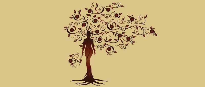 Женщина дерево