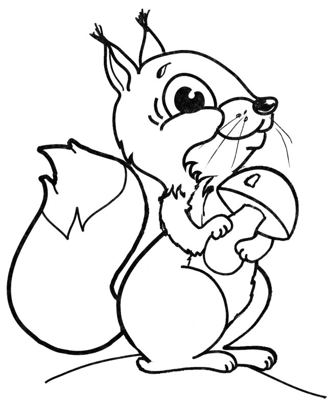 Раскраска Бельчонок