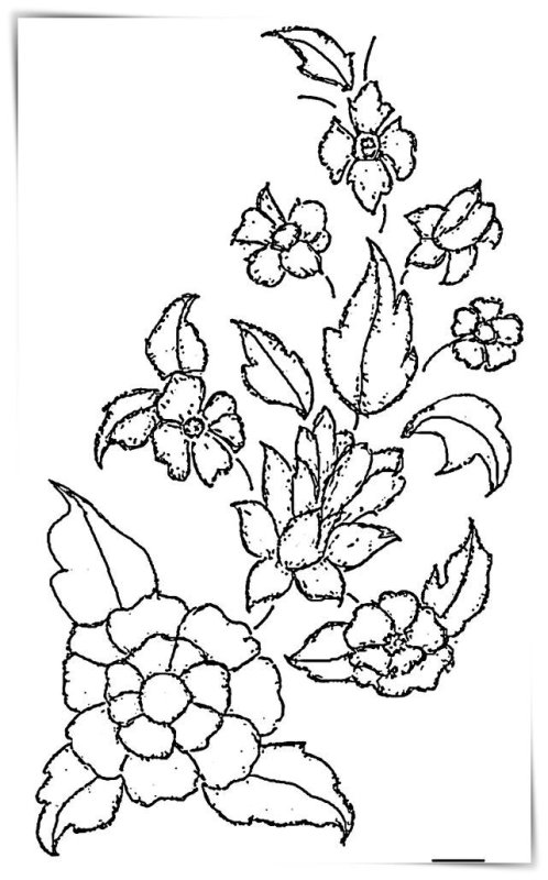 Узоры цветов для рисования