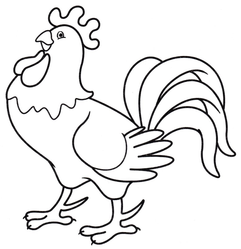 Петух раскраска