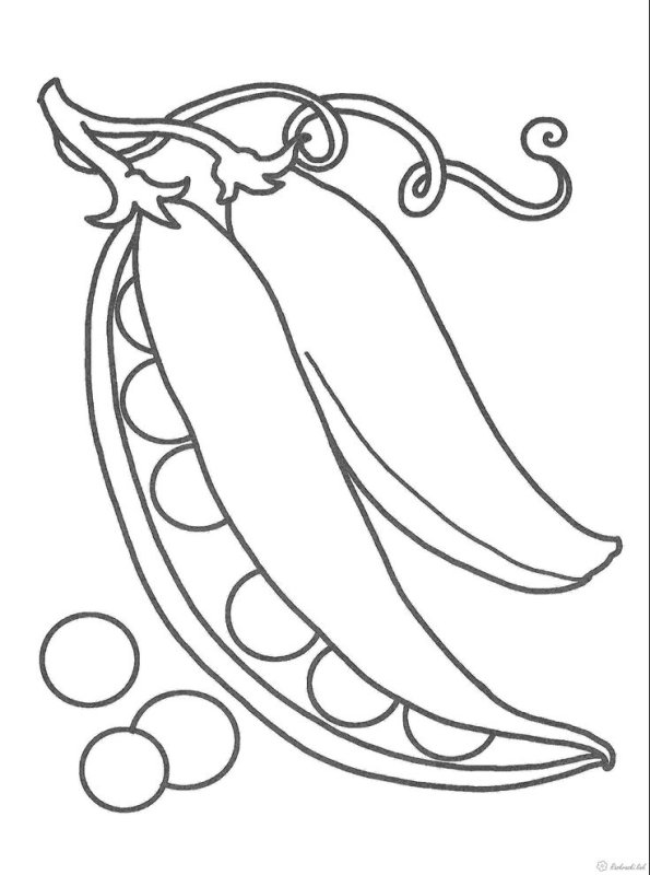 Раскраска овощи горох